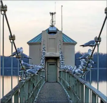  ?? RICK KAUFFMAN — DIGITAL FIRST MEDIA ?? The walking bridge to the pump station at Springton Reservoir dam in Upper Providence. The dam is expected to undergo a major renovation.