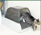  ??  ?? PetSafe ScoopFree Ultra Self-Cleaning Cat Litter Box, £141 Automatic rake cleans up and stores waste in a sealed box that is odour free for weeks. A seven-year-old rescue dog called Finn