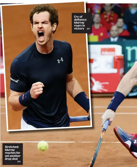  ?? EPA
BPI ?? Stretched: Murray reaches for yet another drop shot Cry of defiance: Murray roars in victory