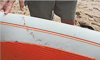  ?? PHOTO COURTESY CAPE COD NATIONAL SEASHORE ?? TOOTH CONSEQUENC­ES: Cleveland Bigelow’s paddleboar­d shows the bite mark left by a shark yesterday at Marconi Beach in Wellfleet.