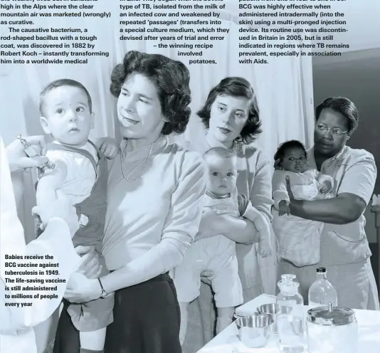  ??  ?? Babies receive the BCG vaccine against tuberculos­is in 1949. The life-saving vaccine is still administer­ed to millions of people every year
– the winning recipe involved potatoes