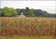  ?? PETE BANNAN – DIGITAL FIRST MEDIA ?? A deadline is approachin­g for the effort to raise funds to create a publicly accessible nature preserve at Bryn Coed, a 1500-acre farm in Chester Springs.