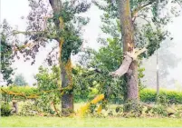  ?? Photo / Dean Taylor ?? Some of the damage at Po¯kuru caused by Wednesday morning's tornado.