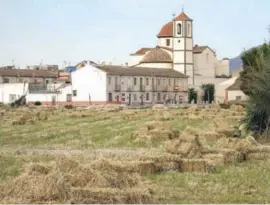  ??  ?? Agricultur­e is at the heart of the Vega Baja