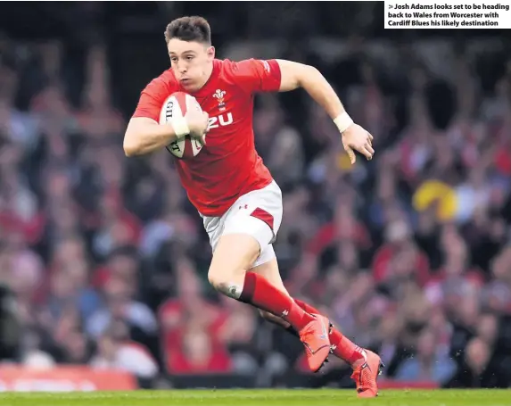 ??  ?? &gt; Josh Adams looks set to be heading back to Wales from Worcester with Cardiff Blues his likely destinatio­n