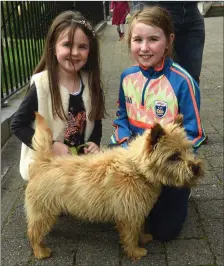  ??  ?? Molly and Nellie Culhane at the Blessing of the Animals at the Franciscan Friary, Killarney on Sunday afternoon.Photo by Michelle Cooper Galvin