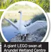  ??  ?? A giant LEGO swan at Arundel Wetland Centre Credit: Adam Finch
