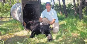  ?? SOURCE: NMSU ?? James Cain, a wildlife and affiliate associate professor at New Mexico State University, is part of a team researchin­g wildlife and vegetation responses to forage restoratio­n.