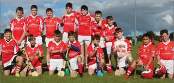  ??  ?? The Glenealy under-13 hurlers who defeated Barndarrig in the ‘C’ championsh­ip semi-final.