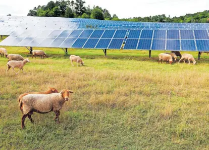  ?? ?? Solaranlag­en am Dach werden nicht genügen, will Österreich seine Ausbauziel­e erreichen. Karl-Friedrich Hohl