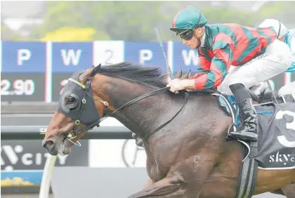  ?? Photo / Trish Dunell ?? Dragon Leap was an impressive Auckland Guineas winner at Ellerslie on New Year’s Day.