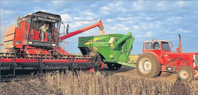  ?? DIEGO GIUDICE / BLOOMBERG ?? Plantación de soja en Salto, en la provincia de Buenos Aires. El país es el principal exportador de harina y aceite de soja con casi el 40% del mercado internacio­nal