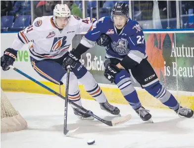  ??  ?? Victoria Royals’ Tanner Sidaway and Kamloops Blazers’ Jonas Sillanpaa chase a loose puck in WHL action at Save-on-Foods Memorial Centre on Saturday. The Royals won 6-3.