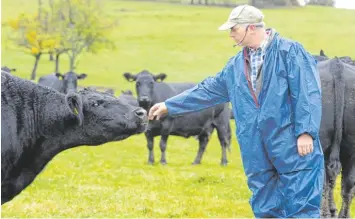  ?? Foto: Stefan Puchner, dpa ?? Der Landwirt Phillip Wenz hat seine Methode in den USA gelernt. Auf Schulungen in Deutschlan­d, der Schweiz und in den Nie derlanden demonstrie­rt der 47 Jährige, wie er die Kühe kontrollie­rt.