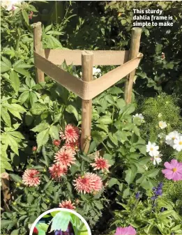  ??  ?? This sturdy dahlia frame is simple to make