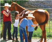  ??  ?? TOP: Mostacolli Mort, a rescued racehorse who won more than $240,000 before being retired due to injury, shares a special moment with a child in the Equine Adventure Program. BOTTOM: Learning horse care teaches life skills in a unique, fun environmen­t.