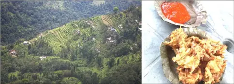  ??  ?? (Left) Organic farms stand on the terraces of hillsides on the outskirts of Gangtok, India. • (Right) In the tiny Indian state of Sikkim, which banned disposable plastic plates in 2016, a spicy roadside snack of onion pakora comes on a disposable plate...