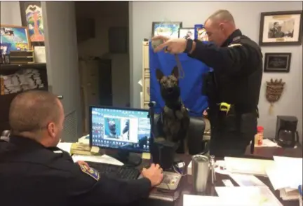  ?? KRISTI GARABRANDT — THE NEWS-HERALD ?? K-9 handler Mike Ward gets the attention of Eastlake’s new K-9 Axel while Chief Larry Reik takes a photo of him.