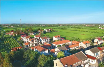  ?? PHOTOS BY GAO ERQIANG / CHINA DAILY ?? Top: Dongtan Wetland in Chongming. The region is to be developed into a “world-class ecological island” by 2040. Above: The island’s laid-back lifestyle attracts people from mainland LU YI / FOR CHINA DAILY Shanghai to spend their weekend there.