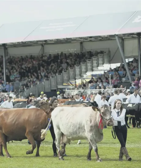  ??  ?? at Ingliston to see Scottish farmers showcase their livestock, rural skills, activities and products