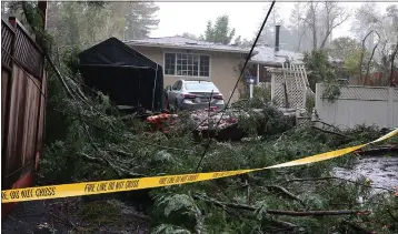  ?? PHOTOS BY SHMUEL THALER — SANTA CRUZ SENTINEL ?? A tree crashed onto this West Zayante Road property on Tuesday during the storm.