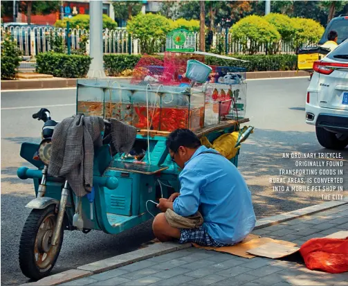  ??  ?? AN ORDINARY TRICYCLE, ORIGINALLY FOUND TRANSPORTI­NG GOODS IN RURAL AREAS, IS CONVERTED INTO A MOBILE PET SHOP IN THE CITY