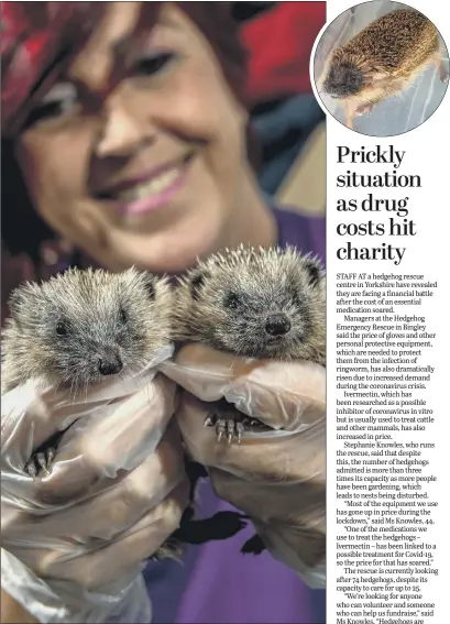  ?? PICTURES: BRUCE ROLLINSON ?? COSTLY CARE: Above, Heather Hawker with Ginger and Roger, four- week-old hoglets at Bingley Hedgehog Emergency Rescue; top right, hydrothera­py for an injured adult.