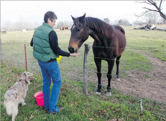  ?? MIKE STONE/ REUTERS ?? Rancher Julia Trigg Crawford is battling with Transcanad­a over the trenching of her property in Sumner, Texas for the Keystone pipeline. ‘ Even if you are up against a Top 10 opponent, you still play to win,’ she says.