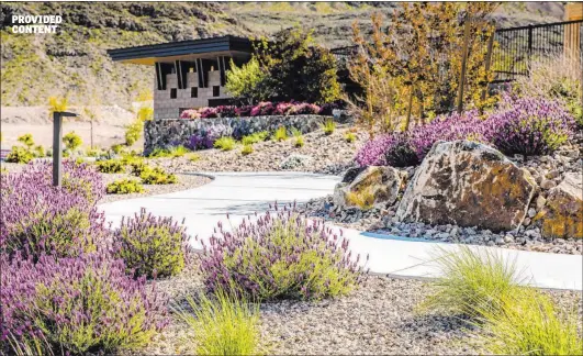  ?? Summerlin ?? The Howard Hughes Corp. has long used low water-use plants in common area landscapin­g, including the Summerlin Trail System, to reduce water consumptio­n.