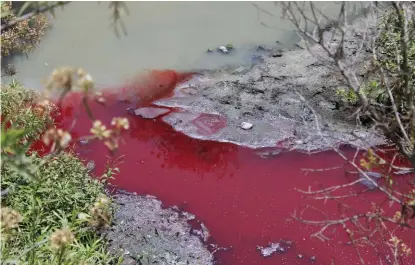  ?? ANDRÉS LOBATO ?? En el área norte se encontró contaminac­ión de diferentes tipos.