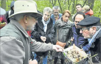  ??  ?? Les champignon­s cueillis sont observés, analysés, commentés mais bien peu finiront poêlés.