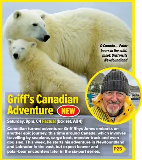  ?? ?? Head of Print Licensing
O Canada… Polar bears in the wild. Inset: Griff visits Newfoundla­nd