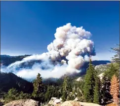  ?? U.S. FOREST SERVICE/TNS ?? A fast-moving wildfire erupted July 16 in Alpine County, on the outskirts of Markleevil­le, prompted the evacuation of several hundred residents.