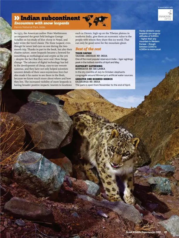  ??  ?? Hardy climbers: snow leopards can range to altitudes of 5,000m – higher than any mountain in Western Europe – though between 3,000 to 4,500m is more usual.