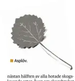  ??  ?? Asplöv.