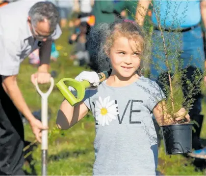  ?? ?? Everyone is welcome to come along this Arbor Day and help increase Hamilton’s native vegetation cover.