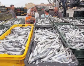  ??  ?? Tvrtke za preradu ribe u Zadarskoj županiji imaju vodeću poziciju