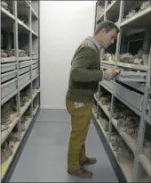  ?? PICTURE: PABALLO THEKISO ?? Dr Jonah Choiniere, a senior research specialist at the Evolutiona­ry Studies Institute at Wits University, examines Wits’ fossil collection, the biggest in Africa.