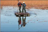  ?? (AP/Koji Sasahara) ?? Workers maintain a lotus pond Monday in Tokyo.