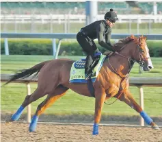  ??  ?? Justify runs on the track during the morning training for the Kentucky Derby at Churchill Downs in Louisville, Kentucky. — AFP photo