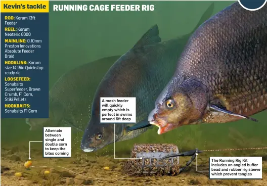  ??  ?? Alternate between single and double corn to keep the bites coming A mesh feeder will quickly empty which is perfect in swims around 6ft deep The Running Rig Kit includes an angled buffer bead and rubber rig sleeve which prevent tangles