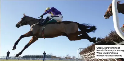  ??  ?? Uradel, here winning at Naas in February, is among Willie Mullins’ strong team at Fairyhouse today