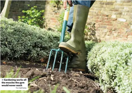  ?? Tim Hall/Getty ?? > Gardening works all the muscles the gym would never reach