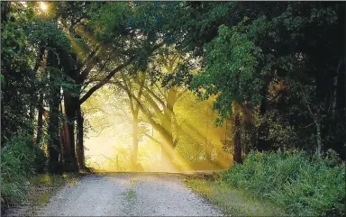  ?? (Courtesy photo/Terry Stanfill) ?? Stanfill captured this early-morning scene near his home on Coon Hollow outside Decatur.