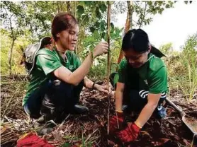  ??  ?? DUA sukarelawa­n tekun berganding bahu menanam
anak pokok.