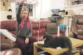 ??  ?? LAGER LEKER: Denne leken lagde Amanda til kattene på Kattehuset.