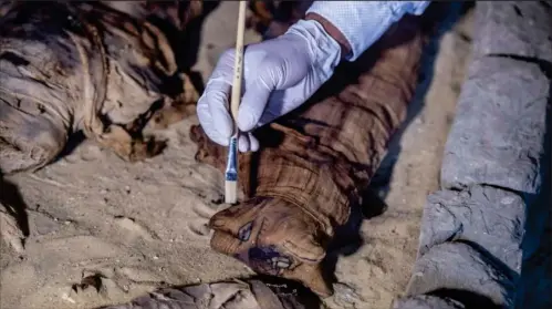 Alarmerende gør ikke tunnel Katte-mumier er mindst 4000 år - PressReader