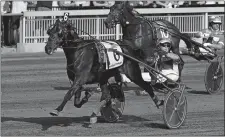  ?? MICHAEL LISA/LISA PHOTO, INC./AP PHOTO ?? Driver Bob McClure guides No. 6 Forbidden Trade to a neck-length victory over No. 2 Greenshoe and driver Brian Sears in the $1 million Hambletoni­an on Saturday at The Meadowland­s.