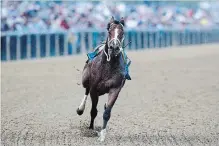  ?? PATRICK SEMANSKY
THE ASSOCIATED PRESS ?? Bodexpress runs in the 144th Preakness Stakes without John Velazquez.