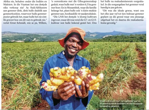  ??  ?? Shadrack Nyoni met vars gemmer wat by W and R Schmidt Boerdery in die Hazyviewom­gewing geoes is.